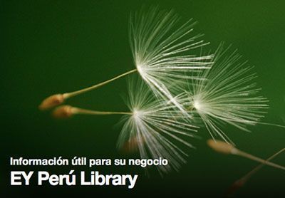 ey-peru-library-itusers